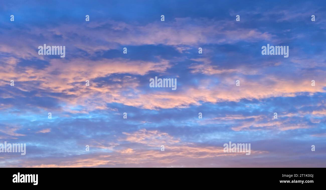 blue sunset sky with pink clouds for natural sky background Stock Photo ...