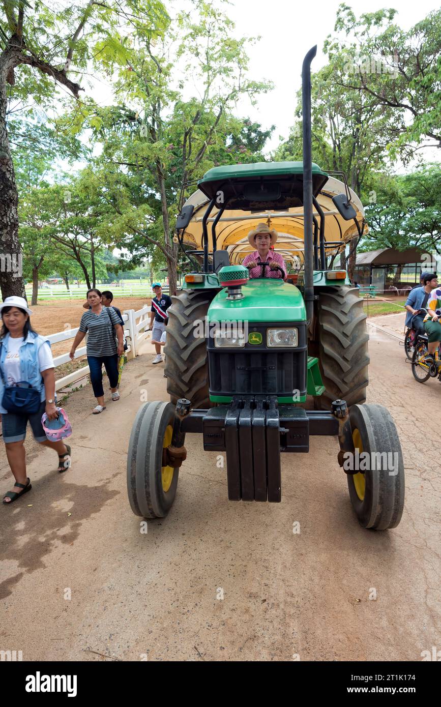Chok Chai Farm, Khao Yai, Thailand - Jun 2; 2019: Cowgirl driving an old ferguson tractor on Chokchai Farm in Pak Chong for bringing visitors around t Stock Photo
