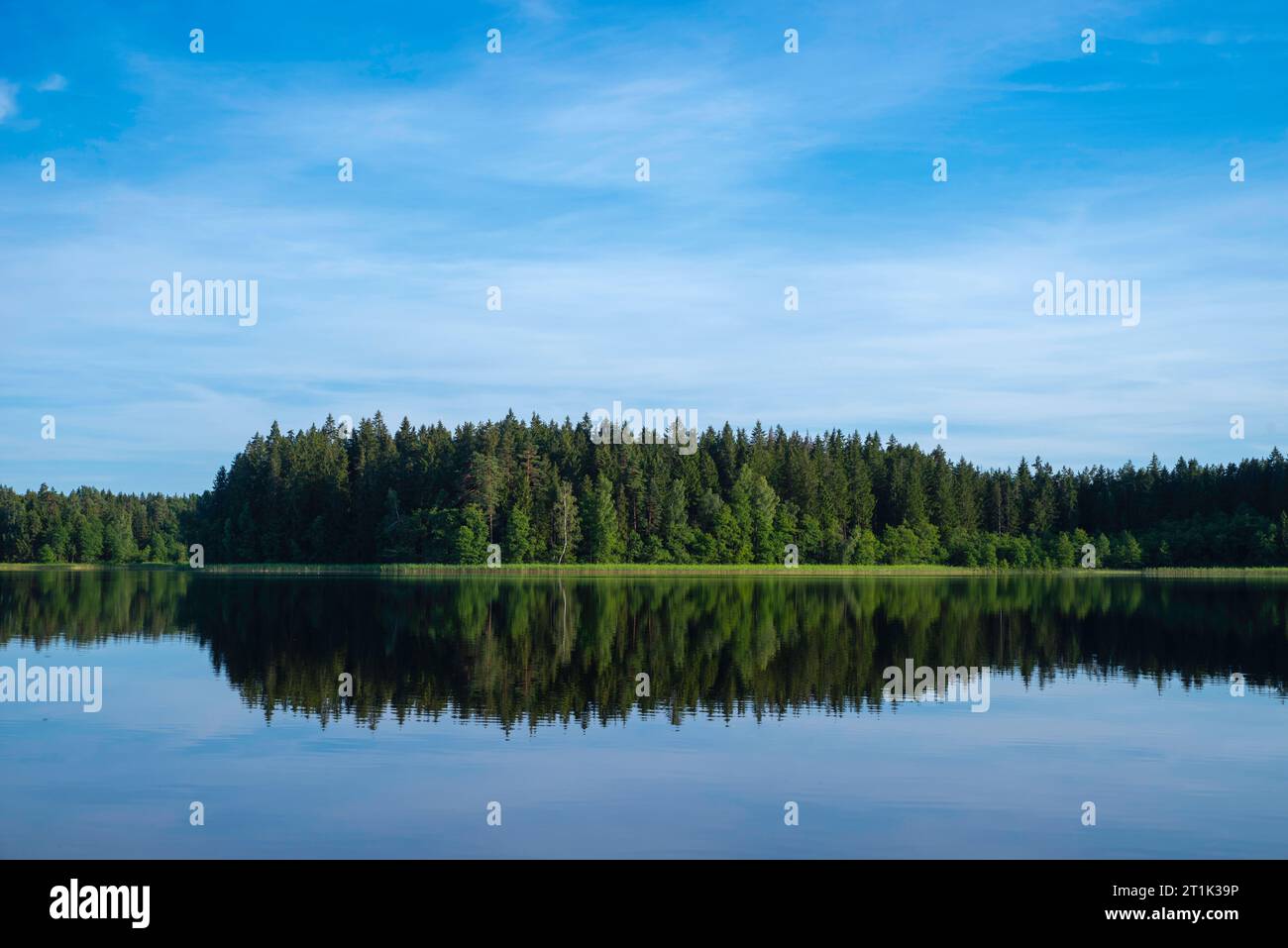 View of Laumalenkos Lake/Ežeras, Žemaitijos Nacionalinis Parkas near Beržoras, Lithuania Stock Photo