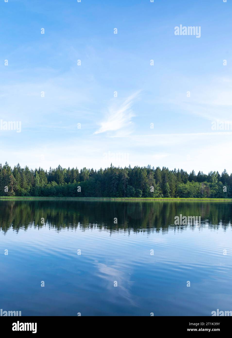 View of Laumalenkos Lake/Ežeras, Žemaitijos Nacionalinis Parkas near Beržoras, Lithuania Stock Photo