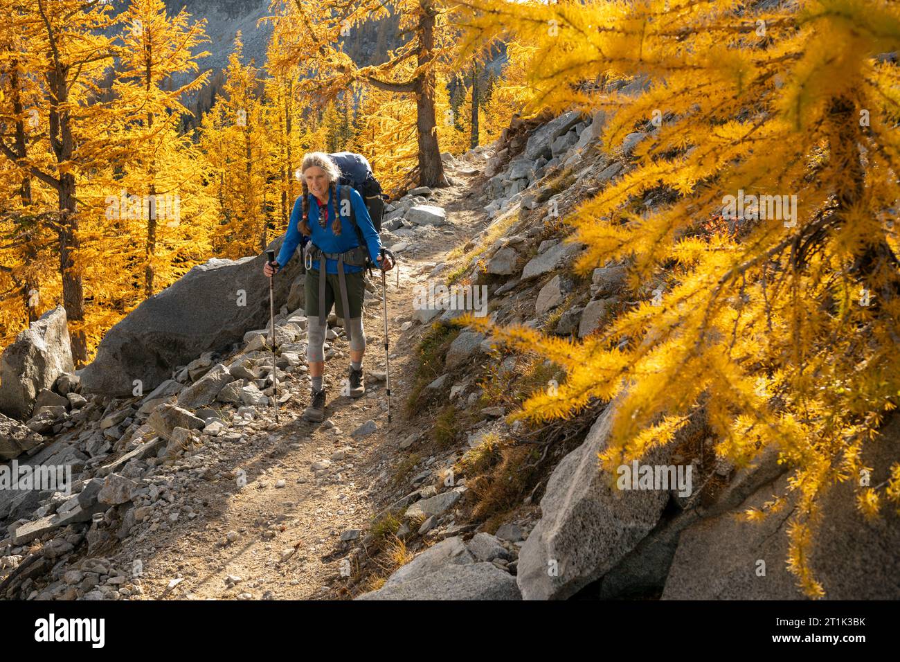 WA24569-00....WASHINGTON - Vicky Spring backpacking on the trail to Boiling lake in the Wenatchee Okanogan National Forest. MR#S1 Stock Photo