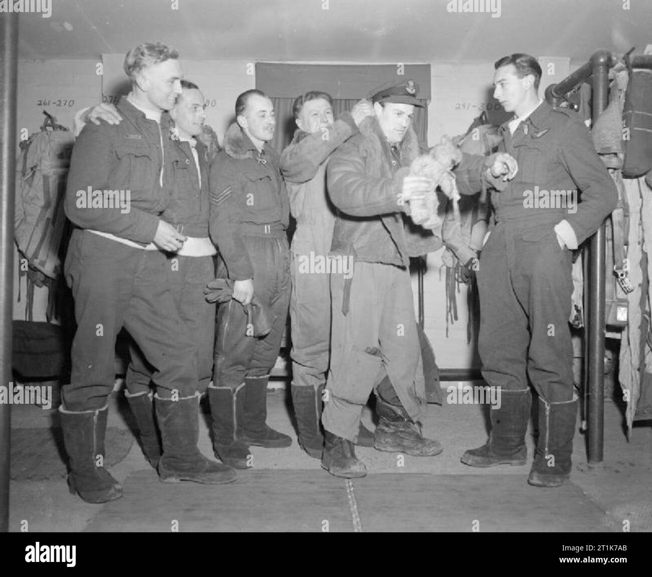 Royal Air Force 1939-1945- Bomber Command Lancaster skipper, Flying Officer T Blackham of No. 50 Squadron, keeps a firm hold on the crew's lucky mascot, as he is helped into his flying jacket by his flight engineer, Sergeant C Walton, at Skellingthorpe, 19 February 1944. Other members of the crew are, from left to right: Pilot Officer D Jones (navigator), Sergeant H Ridd (mid-upper gunner), Sergeant S Smith (bomb aimer) and Sergeant S Wilkins (wireless operator). Stock Photo