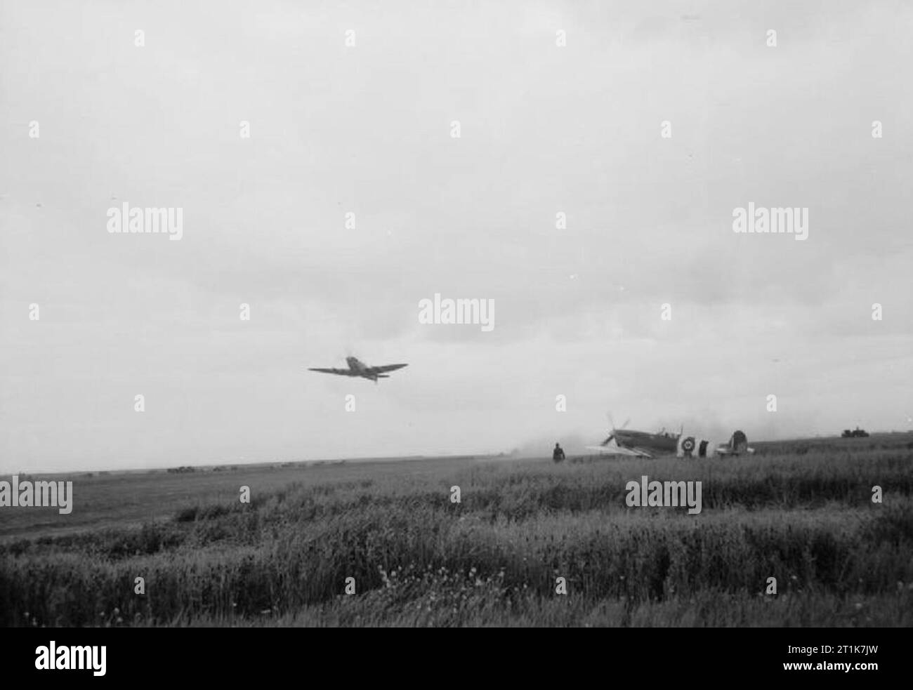442-fighter-wing-black-and-white-stock-photos-images-alamy