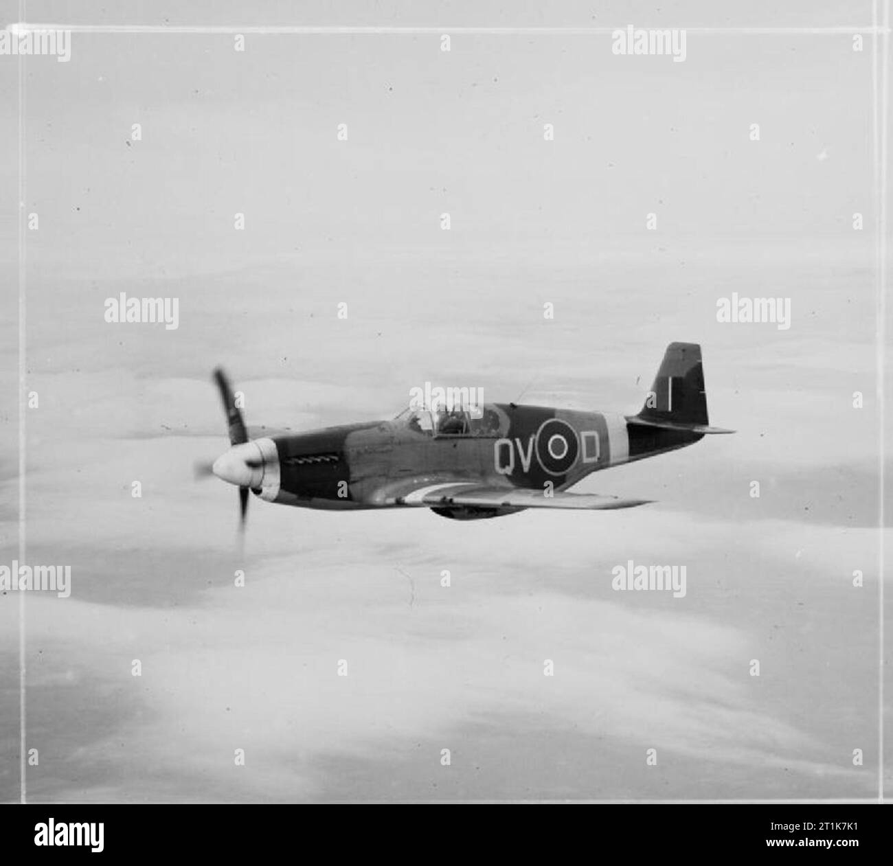 Royal Air Force 1939-1945- Fighter Command Mustang III of No 19 Squadron, based at Ford, in flight, 21 April 1944. It wears the standard Mustang recognition markings of white spinner, nose and wing bands. Production of the Allison-engined Mustang I and II was halted in mid-1943 to make way for the Merlin-powered Mk III. The new Mustang was designed for the air-superiority role, and finally gave both the USAAF and RAF a single-seat fighter that combined excellent high-altitude performance with an outstanding range (combat radius was 750 miles with drop-tanks). Stock Photo