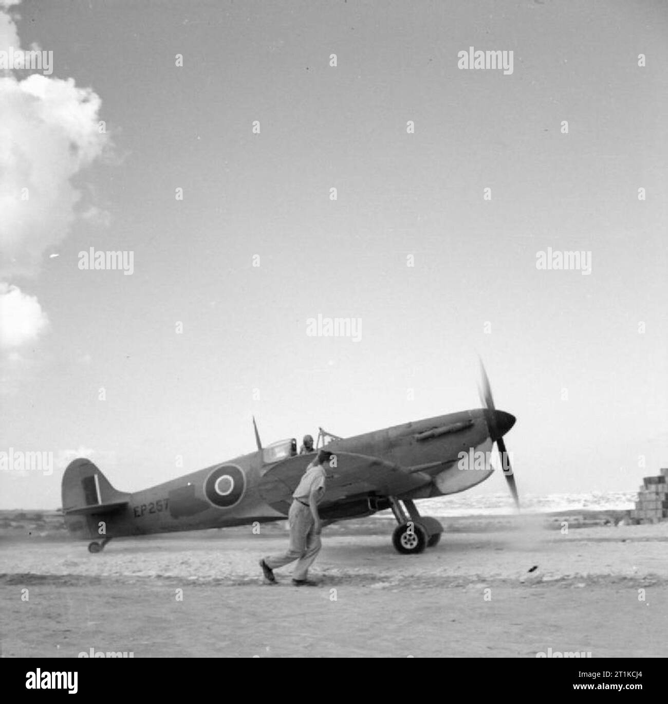 Royal Air Force- Operations in Malta, Gibraltar and the Mediterranean, 1940-1945. Supermarine Spitfire Mark VB(T), EP257, being operated by No. 126 Squadron RAF, taxies along the dusty perimeter track at Luqa, Malta, for a sortie. A member of the groundcrew runs alongside to warn the pilot of obstacles ahead. There was considerable interchange of aircraft between squadrons on Malta at this time, and EP257 shows evidence of hastily painted-out identification letters. Stock Photo