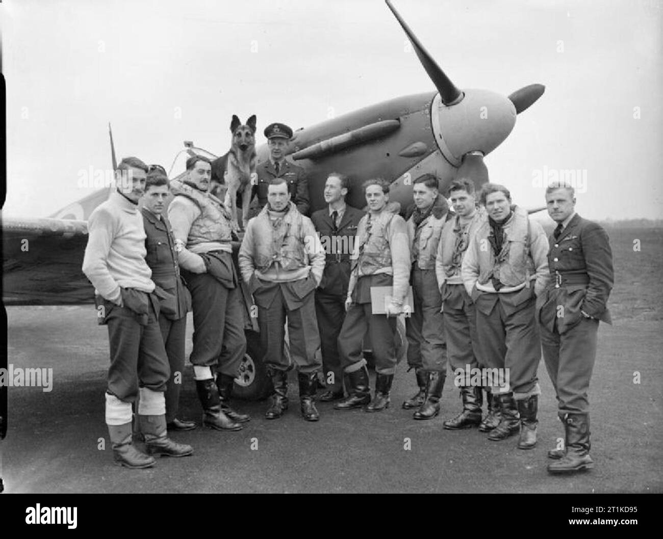 The Royal Air Force Fighter Command, 1939-1945. Pilots of No 54 Squadron RAF gathered round a Supermarine Spitfire Mark IIA at Rochford, Kent. On the wing sits their Commanding Officer, Squadron Leader, R F Boyd, with the squadron mascot 'Crash'. Boyd had at this time destroyed 14 enemy aircraft. At the end of July 1941, he was promoted wing leader of the Kenley Wing, and by the end of his tour in the summer of 1942 had increased his score to at least 22.5 victories. Stock Photo