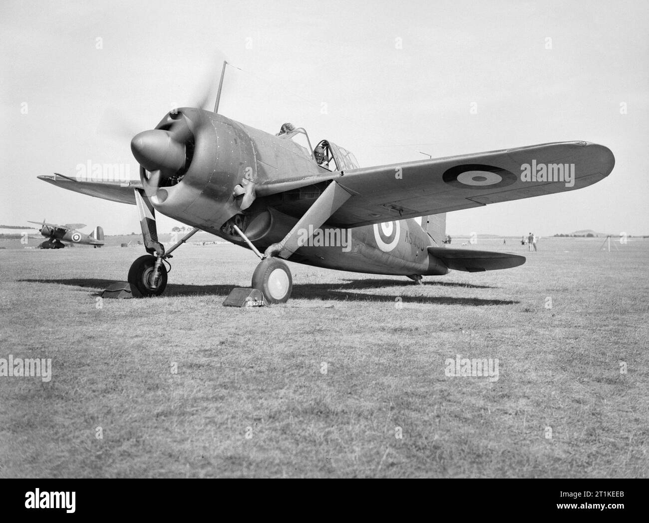 洋書 BREWSTER BUFFALO / Jean-Louis Couston Brewster buffalo hi-res stock photography and images - Alamy