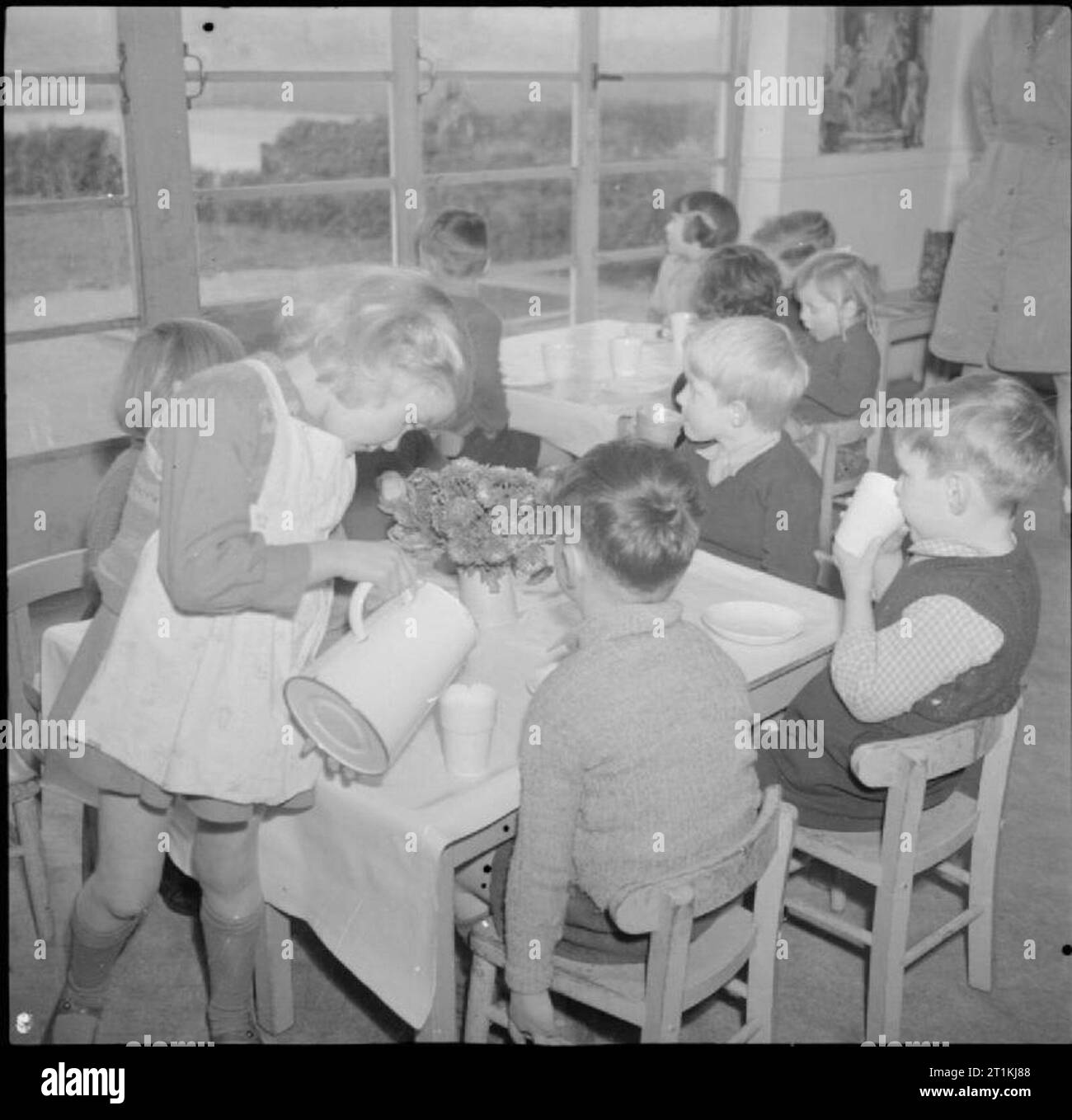 A Modern Village School- Education in Cambridgeshire, England, UK, 1944 At Bottisham Nursery School, children sit at tables to enjoy their mid-morning snack of fruit and milk. The children take it in turns to lay the tables and serve each other. Here, a young girl wearing an apron pours a cup of milk for one of her friends. The tables are set out nicely, complete with table cloths and flowers. Stock Photo