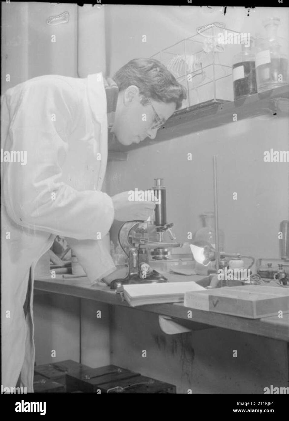 Colonial Students in Great Britain- Student at Guy's Medical School, London, England, UK, 1946 Mr Abdool Raman examines the stomach of a frog under a microscope at Guy's Medical School. On a shelf above him can be seen the skeleton of a hare. Stock Photo