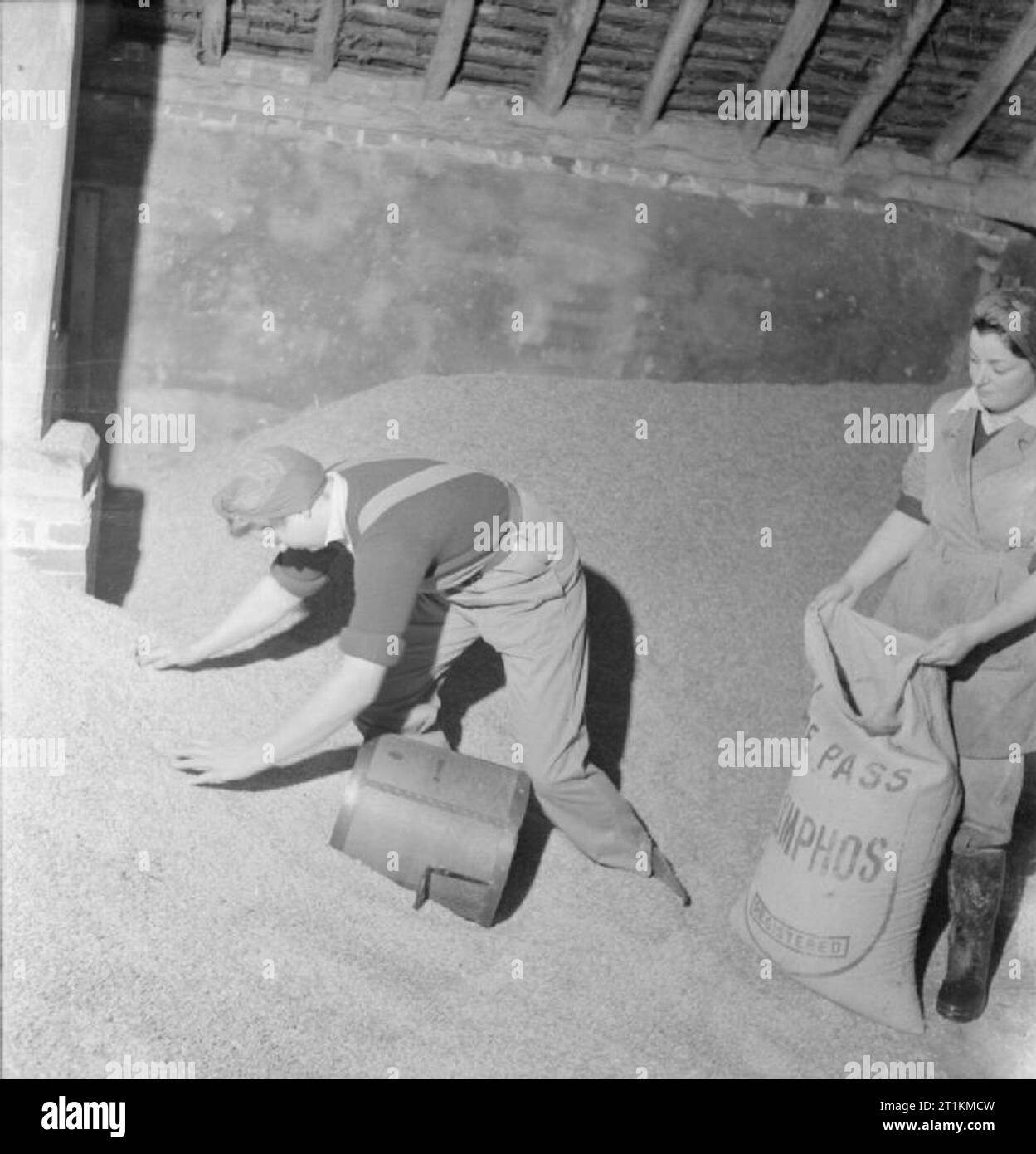 Landgirl's Day Everyday Life and Agriculture in West Sussex, England