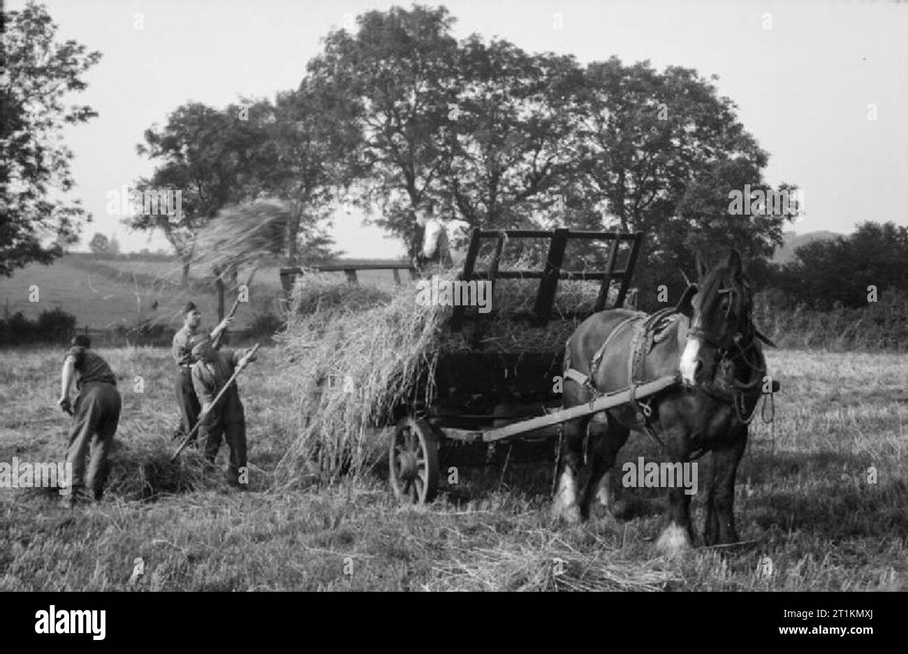 Agriculture and the Military- Everyday Life in the Countryside, Britain ...