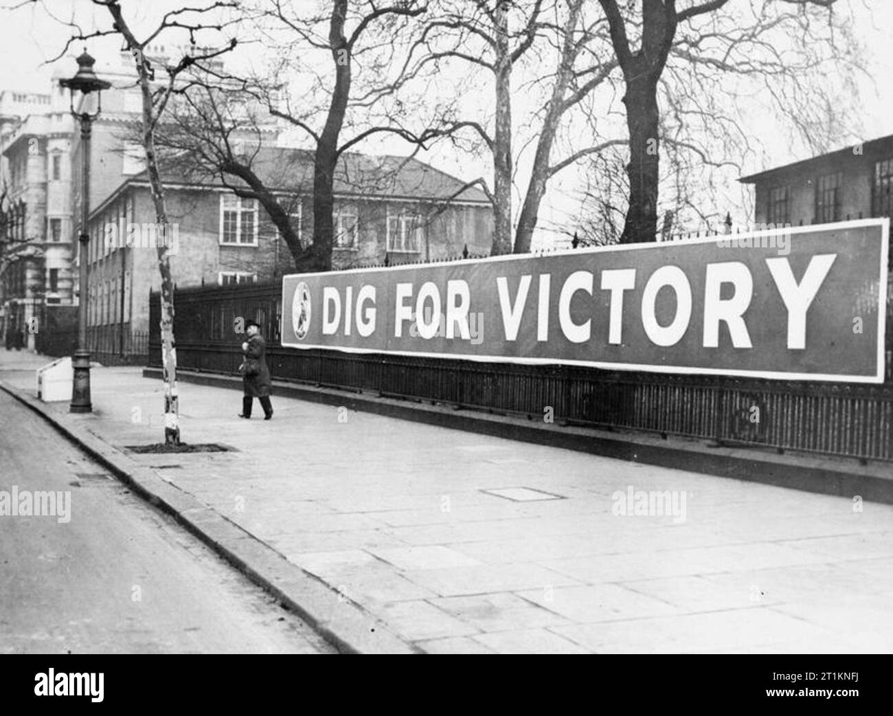 Ministry of Information Campaign Posters, London, UK, 1940 A civilian walks past a large horizontal 'Dig for Victory' poster, which can be seen on railings somewhere in London. Stock Photo