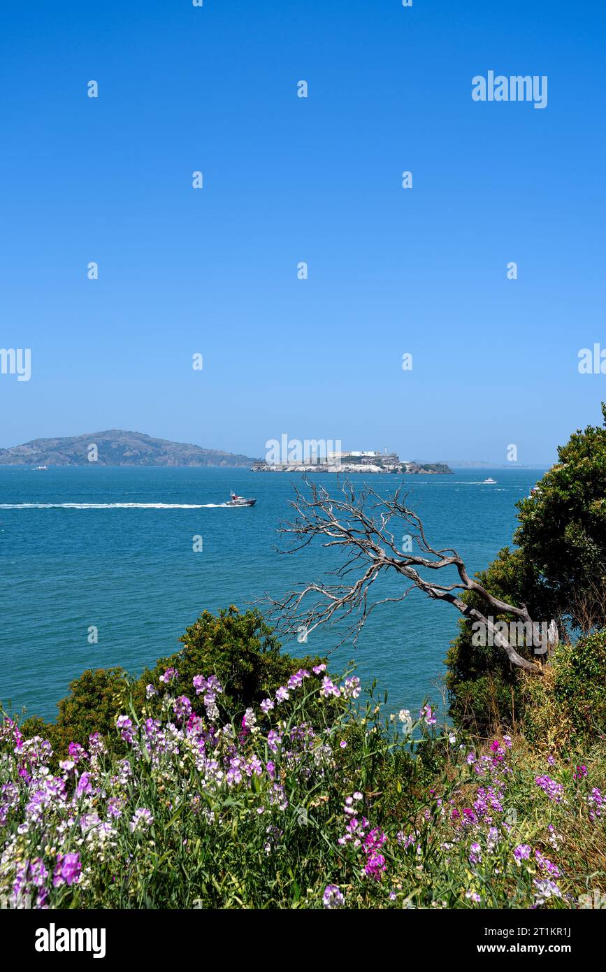 View from Fort Mason to Alcatraz Island in San Francisco Bay, California Stock Photo