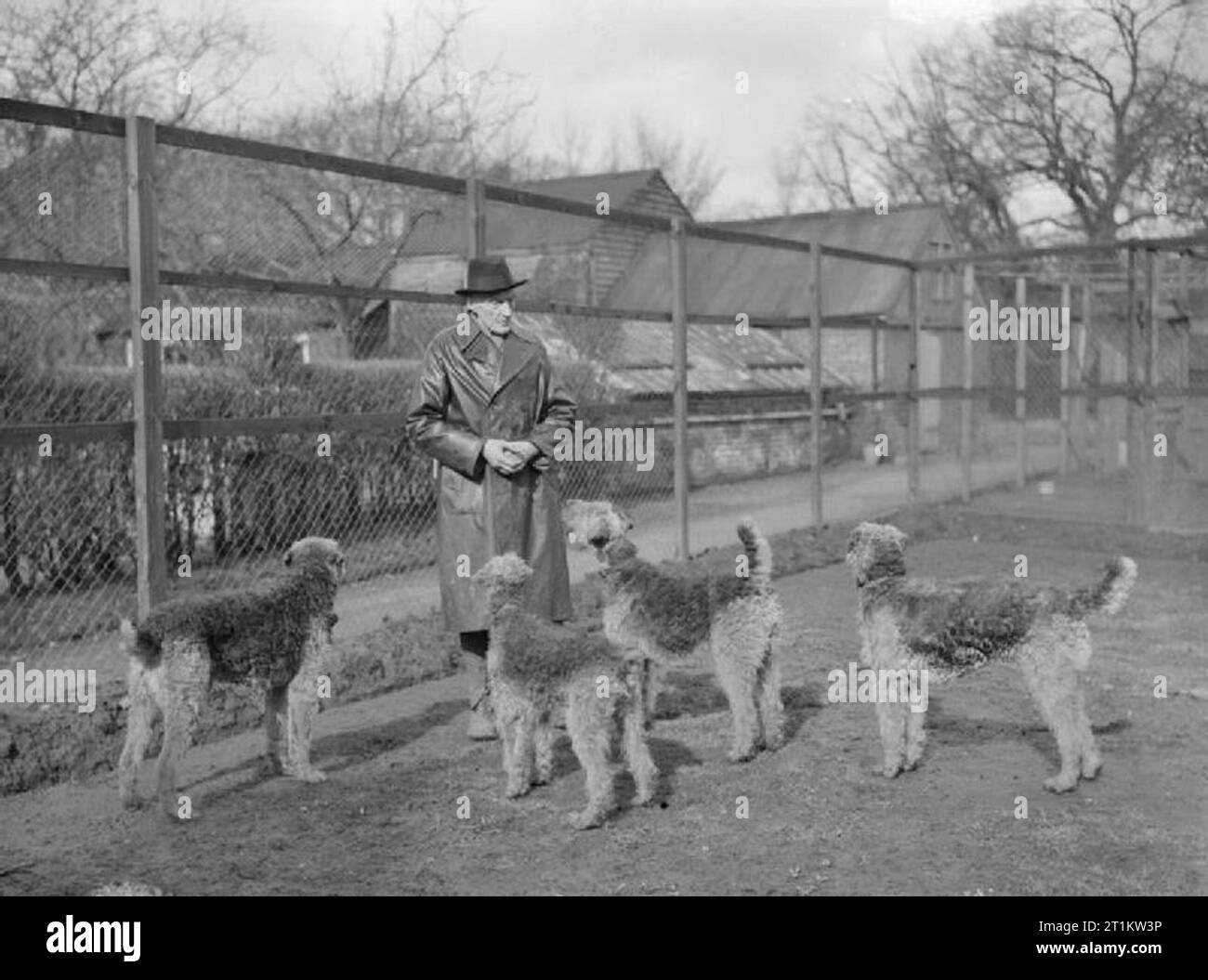War Dog Training in Britain, C 1940 Lieutenant Colonel E H Richardson