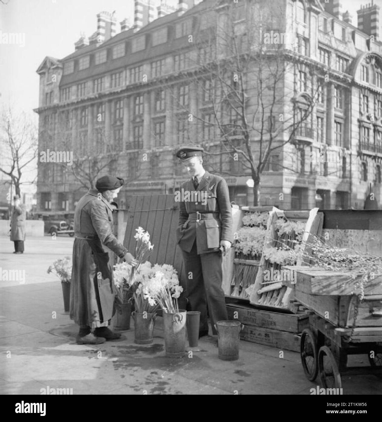 War Bride- Everyday Life in Wartime London, March 1943 Flying Officer Harold Lackland Bevan buys some daffodils for his bride-to-be from a flower seller in Sloane Square, Chelsea. Stock Photo