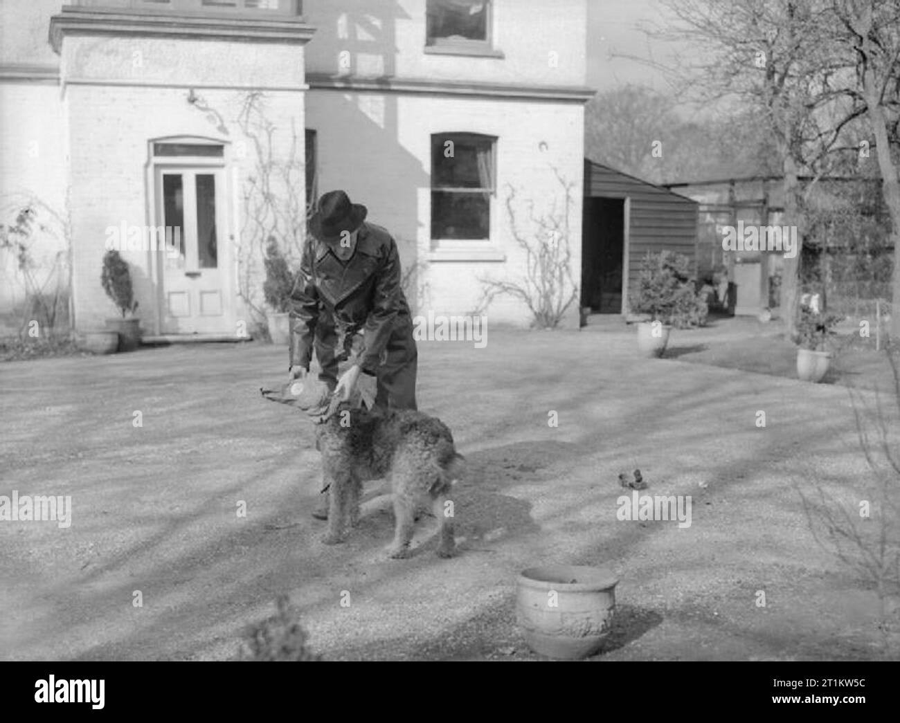 War Dog Training in Britain, C 1940 Lieutenant Colonel E H Richardson ...