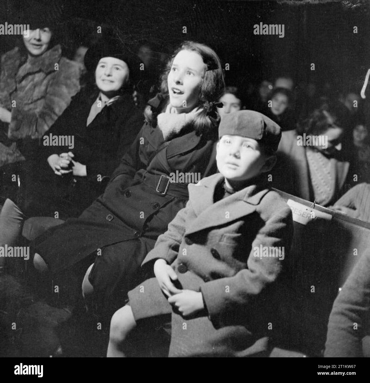 Transfixed hi-res stock photography and images - Alamy