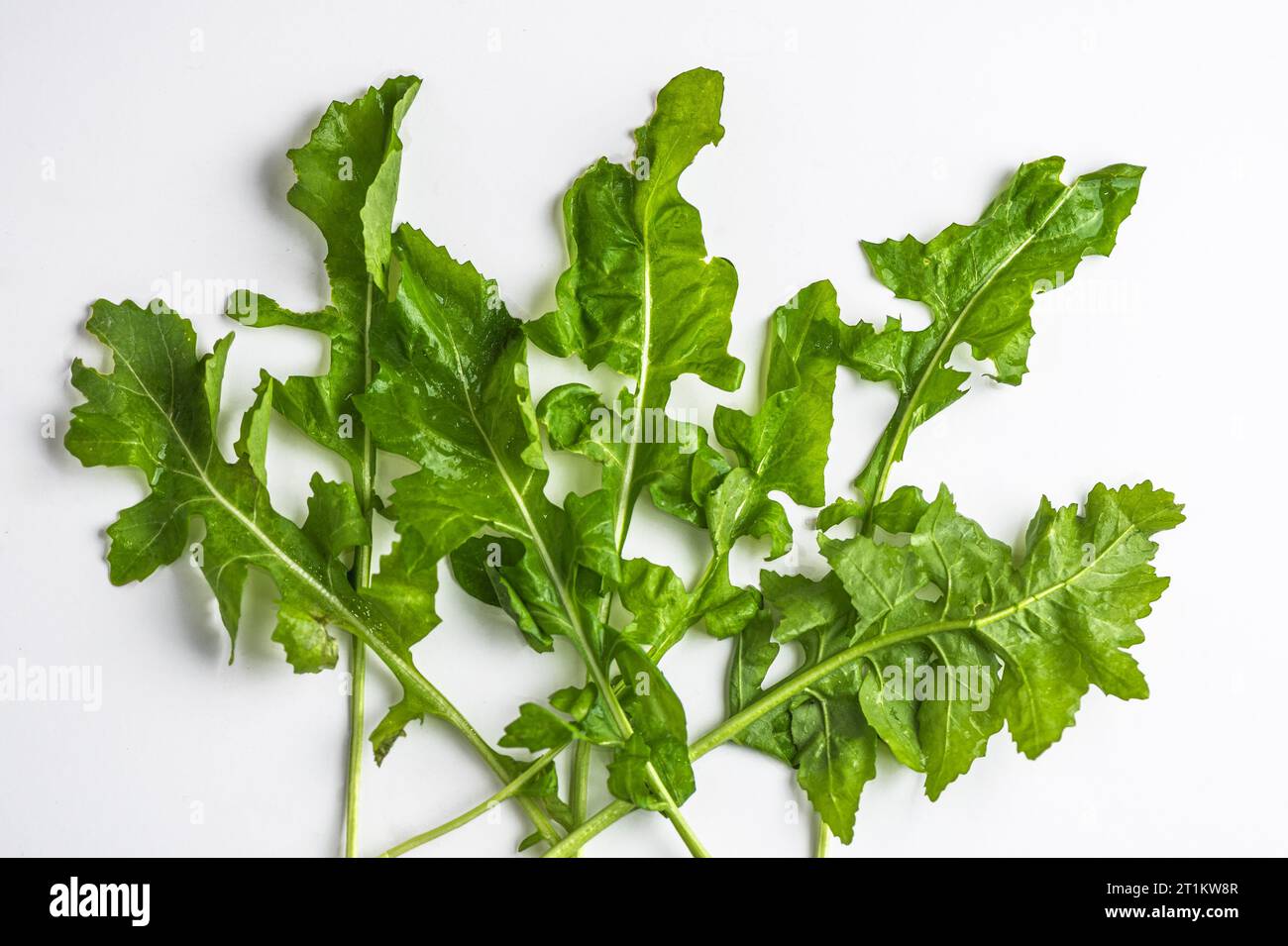 spinach leaves on white background Stock Photo - Alamy