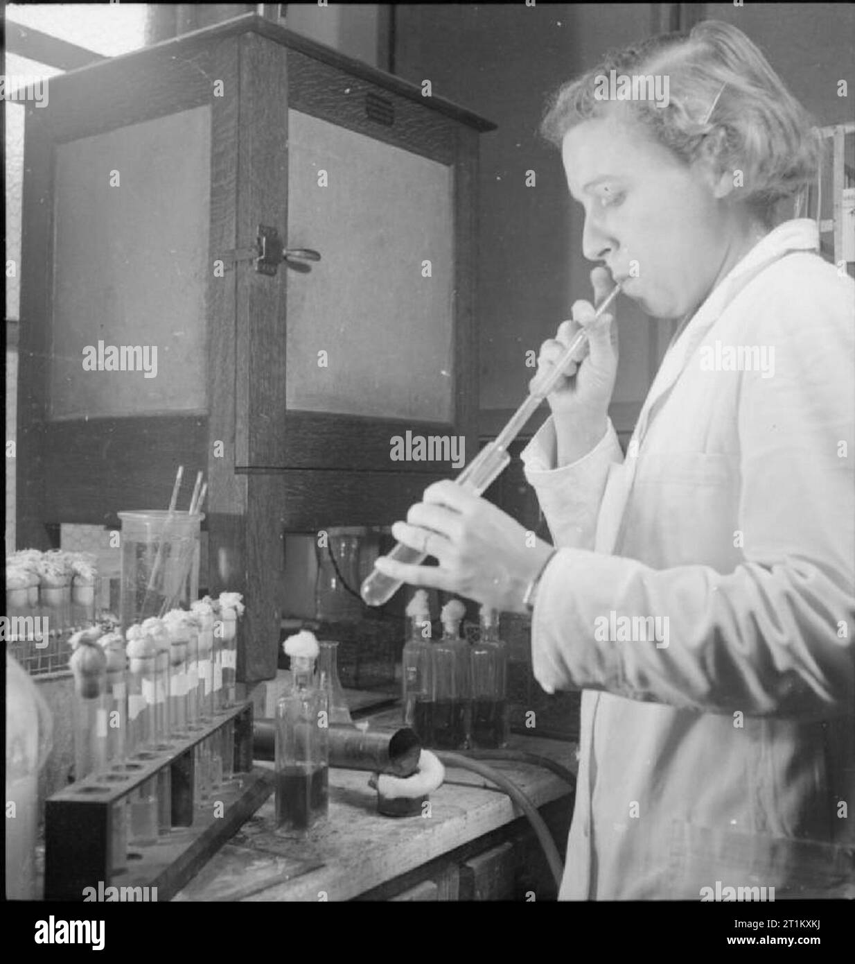 Blood Drying Unit- Processing Blood in the Laboratory, Cambridge, England, UK, 1943 A member of staff at the blood drying unit based at Cambridge University draws sterile, filtered plasma from test tubes into standard transfusion bottles. She is using a pipette-type piece of apparatus to suck the liquid with her mouth into the pipette to transfer the plasma into the bottles. Stock Photo