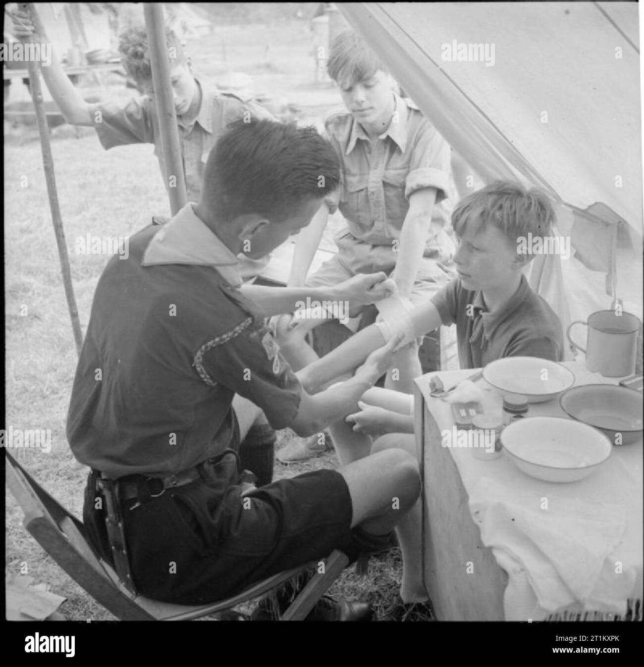 Boy Scouts Pick Fruit For Jam- Life on a Fruit-picking Camp Near Cambridge, England, UK, 1943 In the camp First Aid tent, Scout First Aider bandages the arm of another Boy Scout, who has scratched himself on a plum tree, whilst picking fruit for a jam manufacturer at a camp near Cambridge. Stock Photo