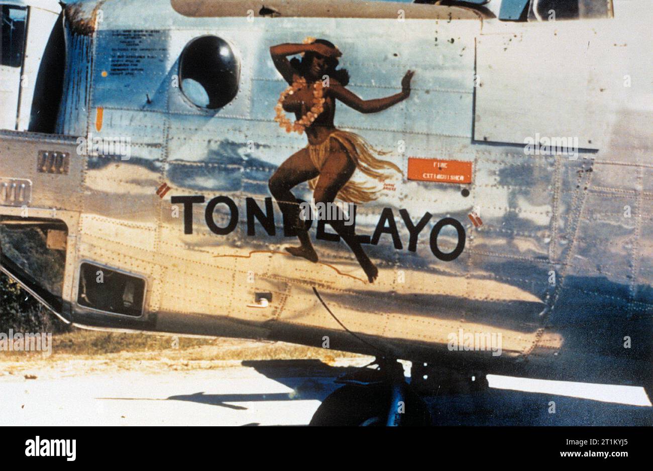 13+ B24 Bomber Nose Art
