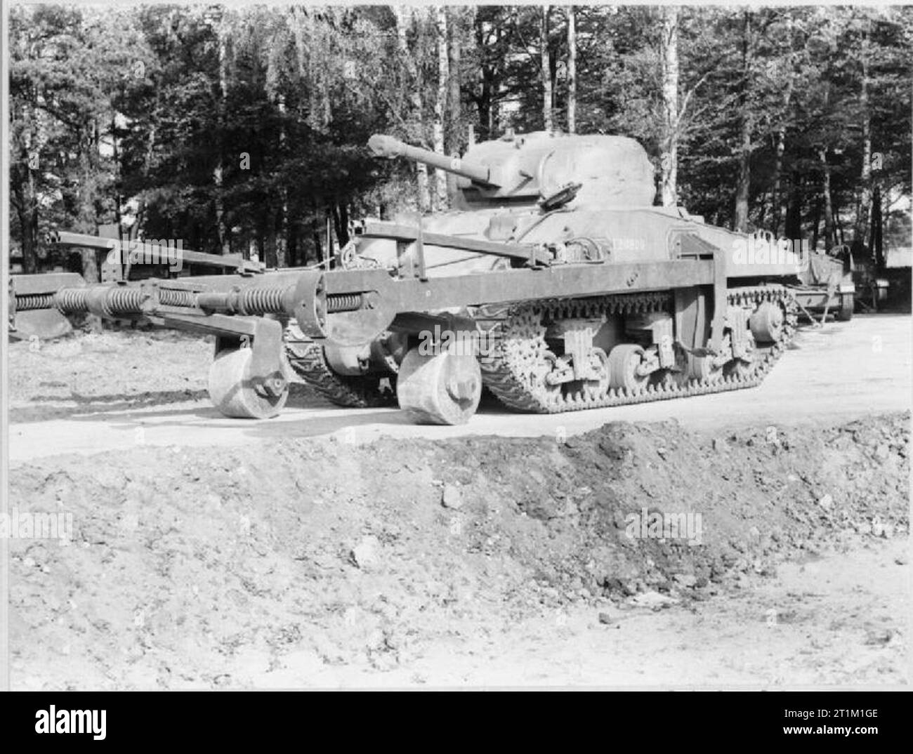Tanks and Armoured Fighting Vehicles of the British Army 1939-45 Sherman with CIRD mine exploder fitted with flying bangalore torpedoes Stock Photo