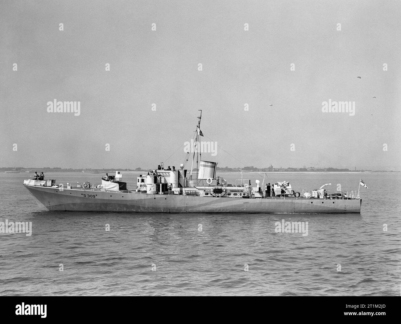 Grey Goose Underway Stock Photo - Alamy
