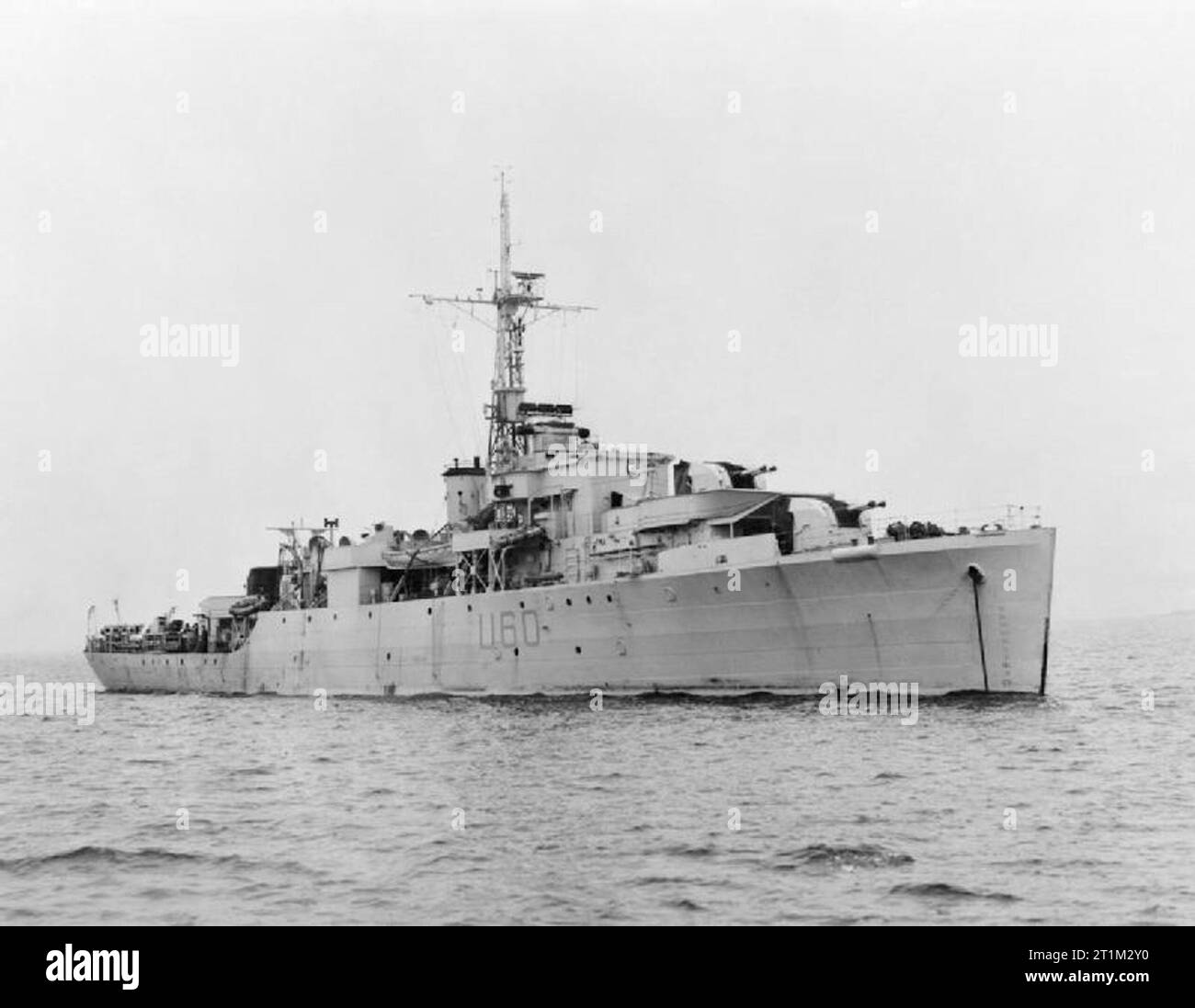British Black Swan class sloop HMS Alacrity. Stock Photo