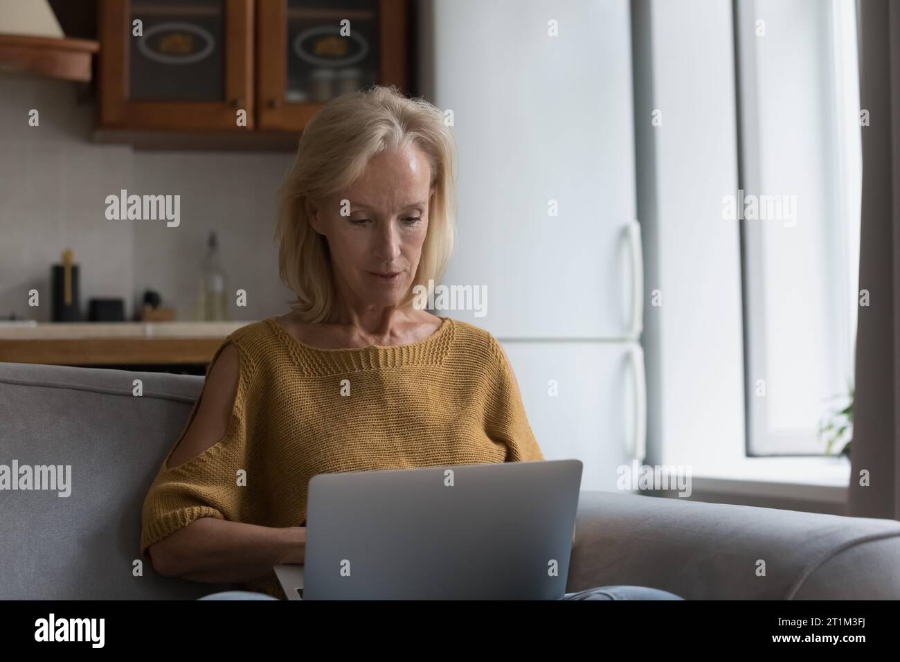 Serious senior lady using computer at home Stock Photo - Alamy