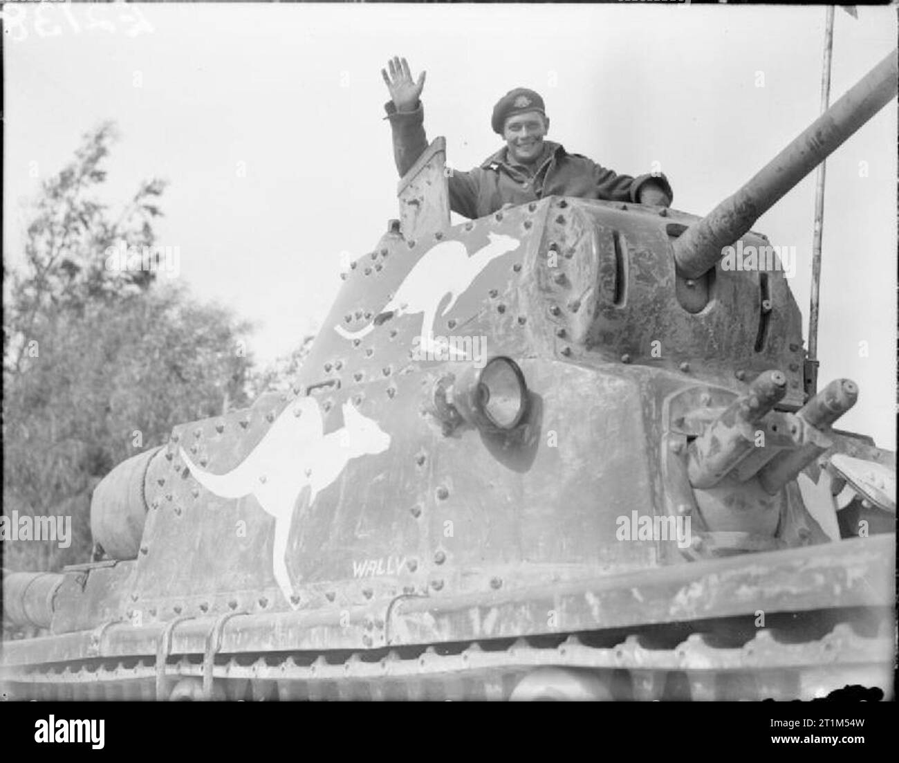The British Army in North Africa 1941 An Italian M13/40 tank captured by the 6th Australian Divisional Cavalry in Cyrenaica, Libya, 4 March 1941. The Australians painted the kangaroos on the side in order to prevent possible mistakes. Stock Photo