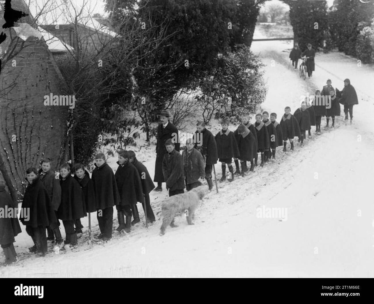 Ministry of Information First World War Official Collection Cripple ...