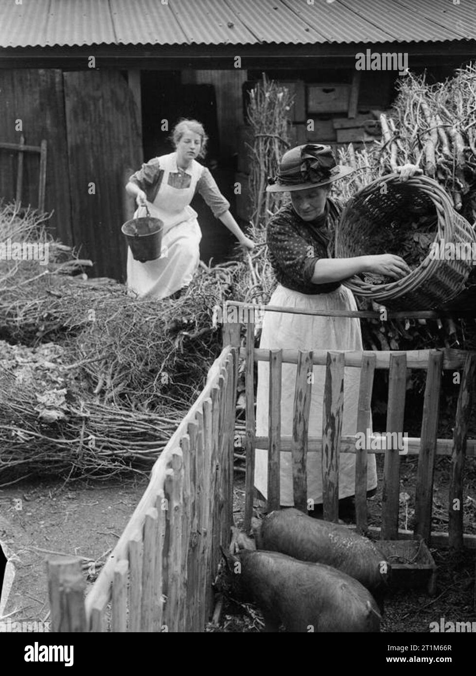 Ministry of Information First World War Official Collection Women