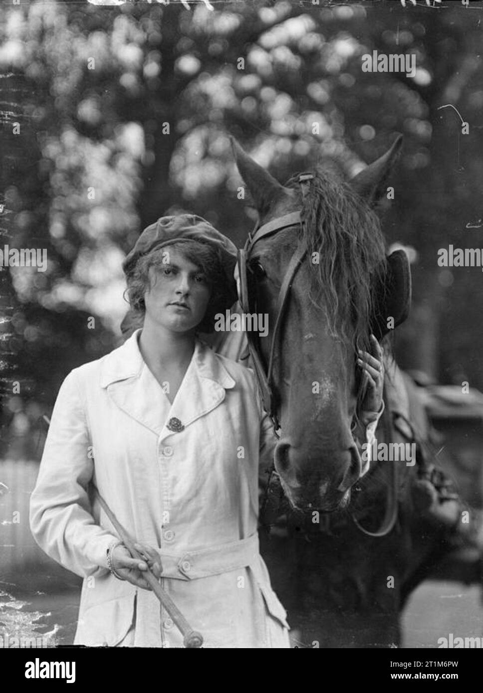 Ministry of Information First World War Official Collection Typical