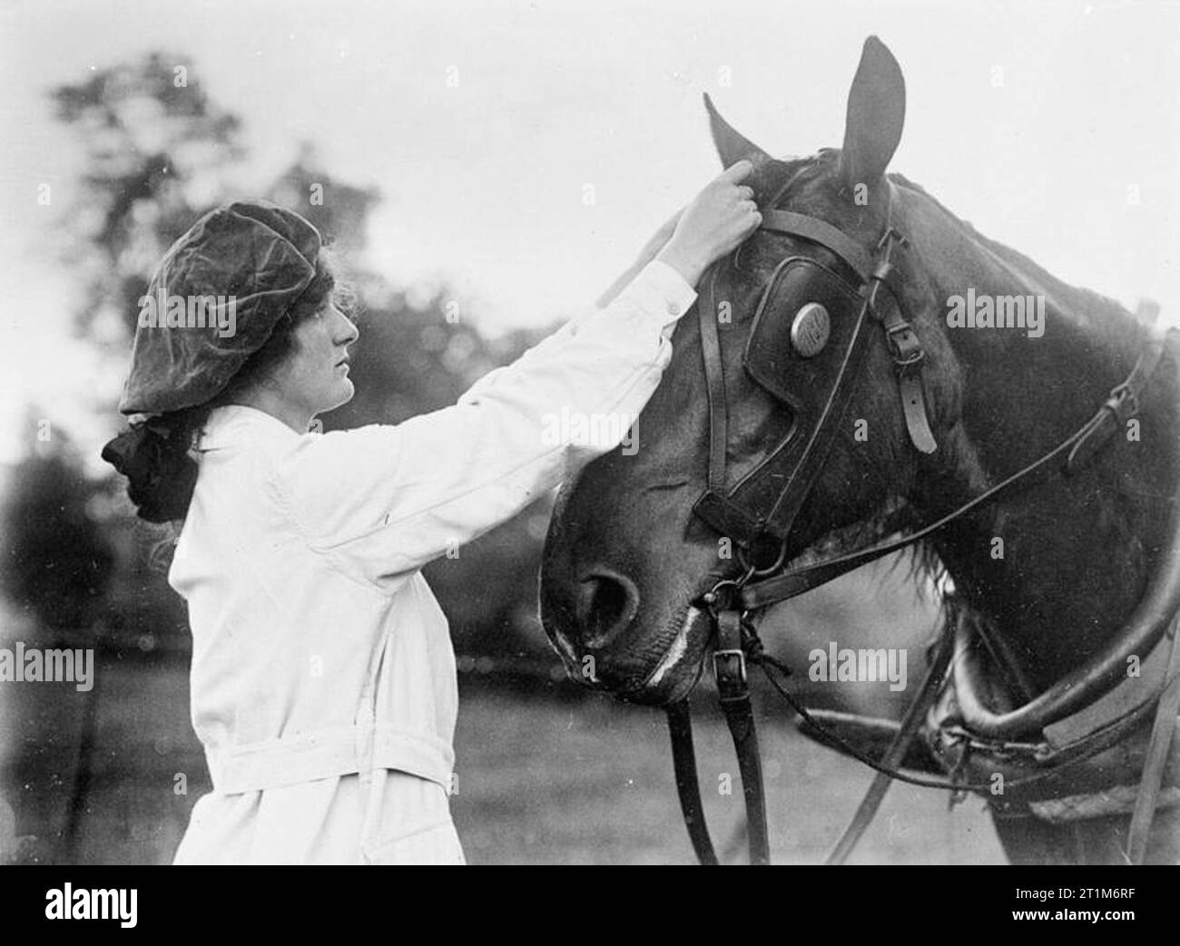 Ministry of Information First World War Official Collection Typical
