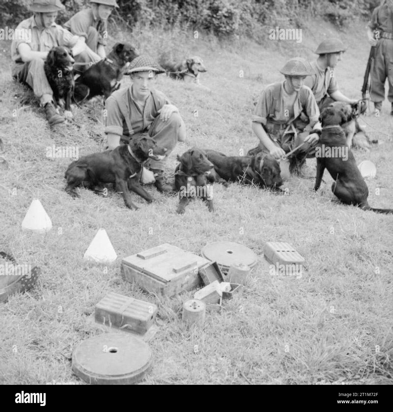 Animals in War 19391945 Dogs and their carers of No. 1 Dog Platoon
