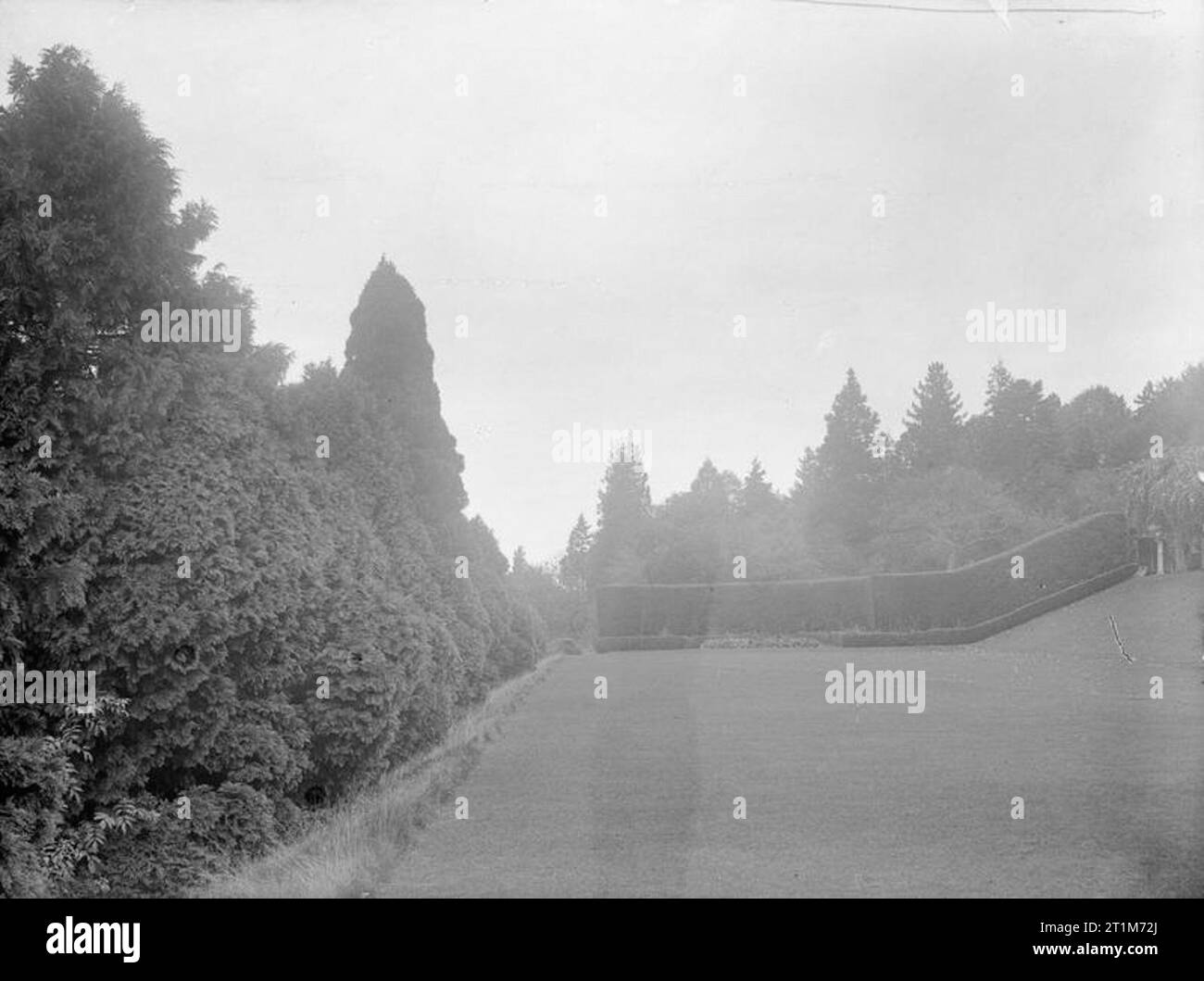 Ministry of Information First World War Official Collection Exterior