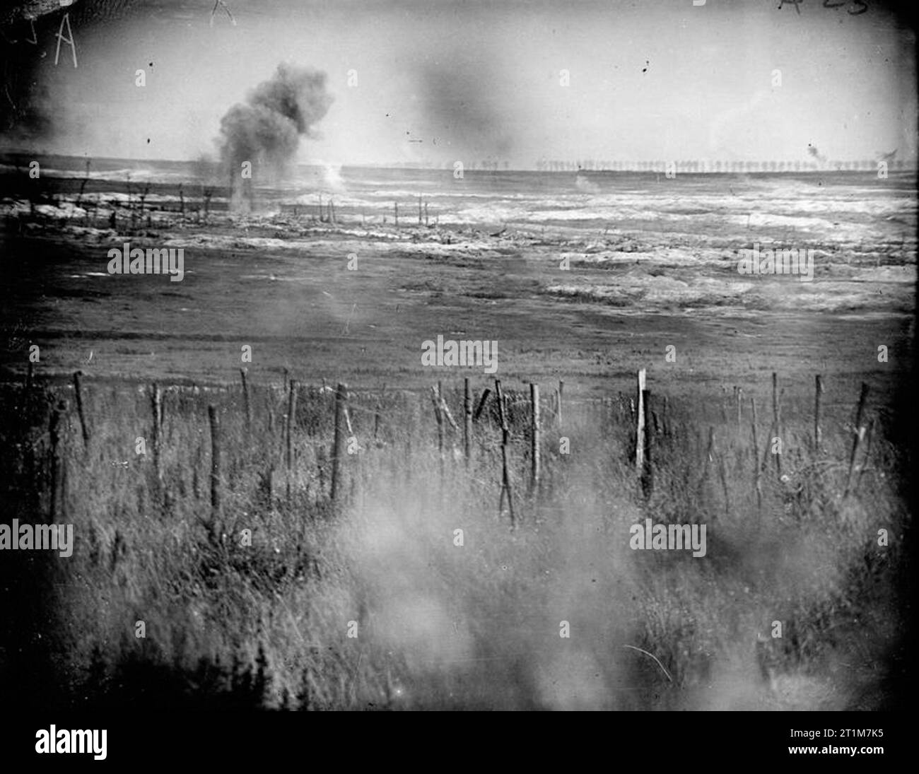 The Battle of the Somme, July - November 1916 Battle of Albert. The ...