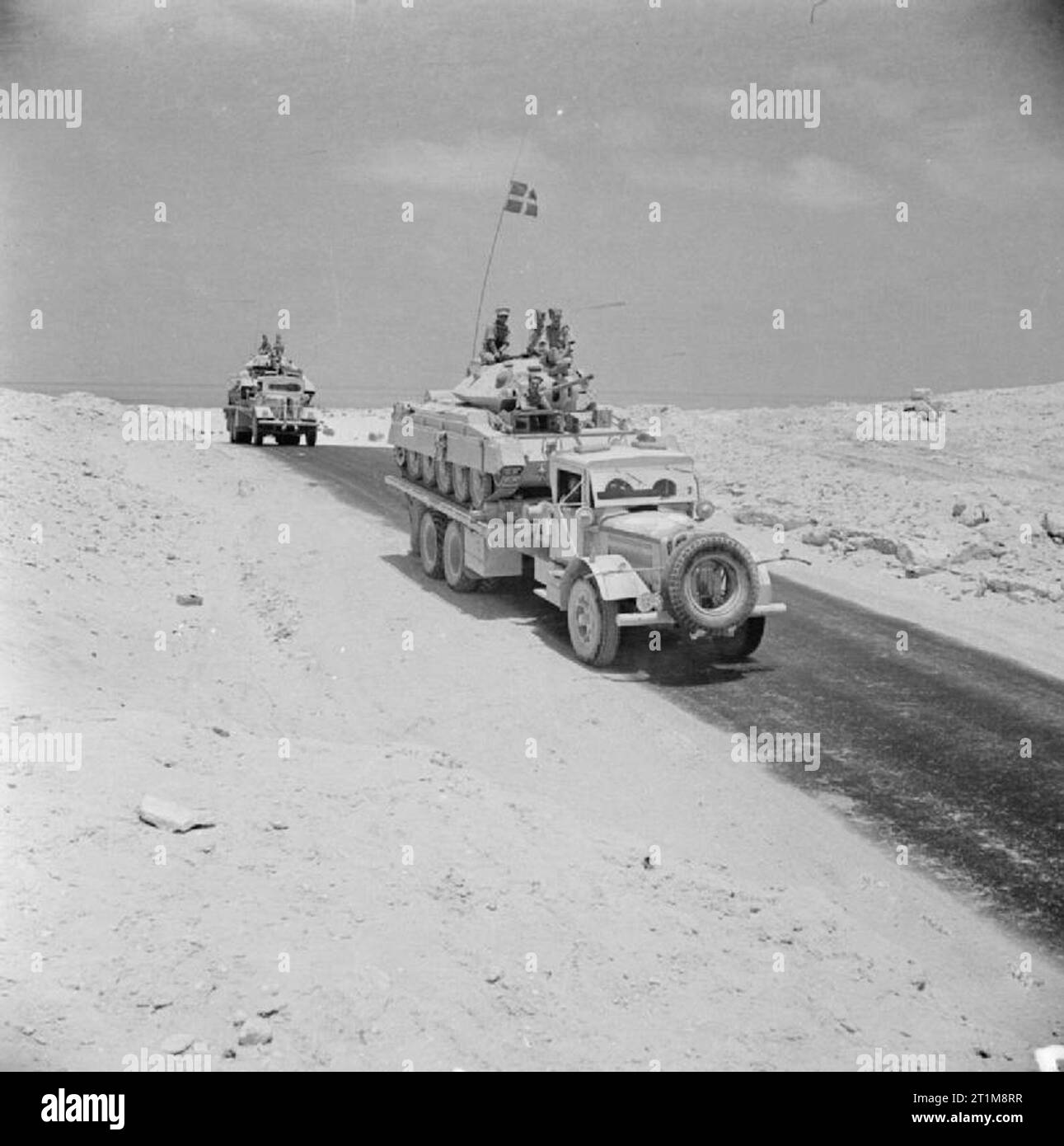 The British Army in North Africa 1942 White Ruxtall 922 18Ton 6x4 Tank Transporters carrying re-conditioned Crusader tanks back to the front line, 23 July 1942. Stock Photo