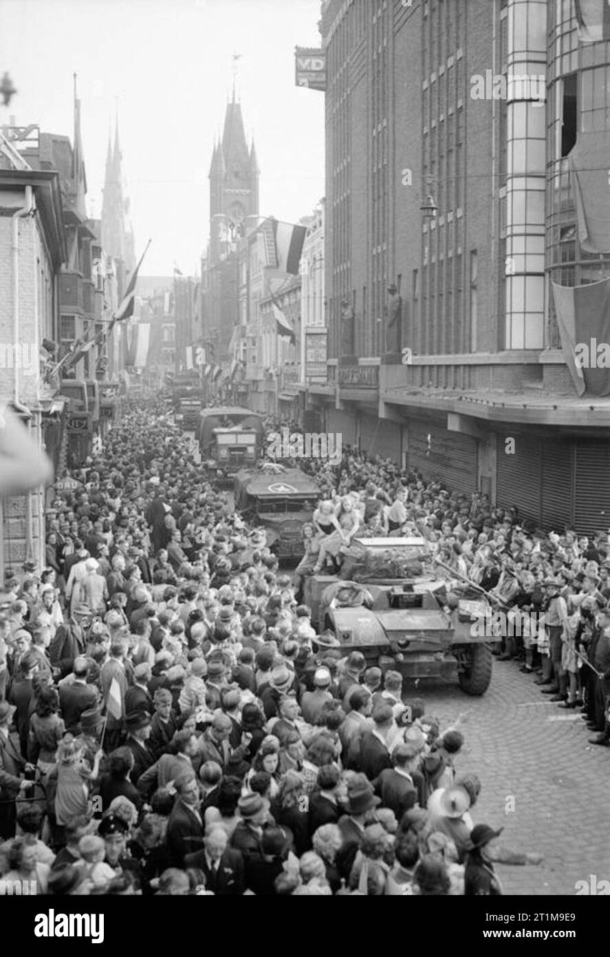 The British Army in North-west Europe 1944-45 Daimler armoured car and trucks passing through cheering crowds in Eindhoven, 20 September 1944. Stock Photo