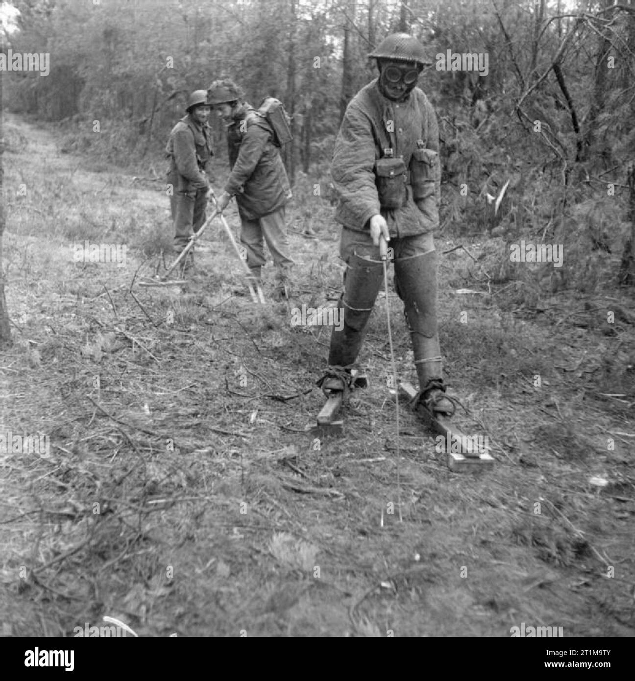 The British Army in North-west Europe 1944-45 A mine-detecting part of 3rd Division at work, 25 November 1944. The leading man is wearing special protective clothing and 'skis' to spread his weight on the ground. Stock Photo