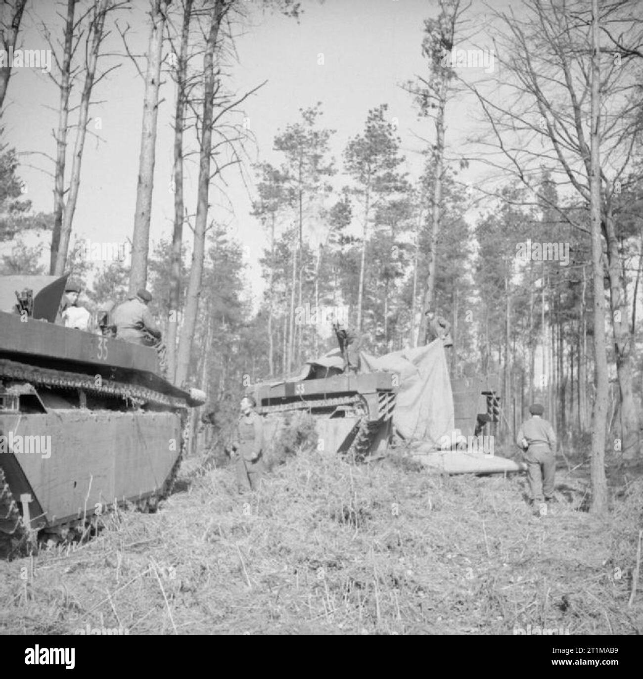 The British Army in North-west Europe 1944-45 LVT Buffaloes of 4th ...