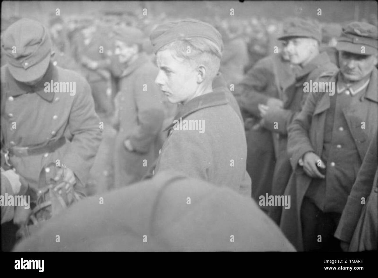 The British Army in North-west Europe 1944-45 Young German prisoner ...