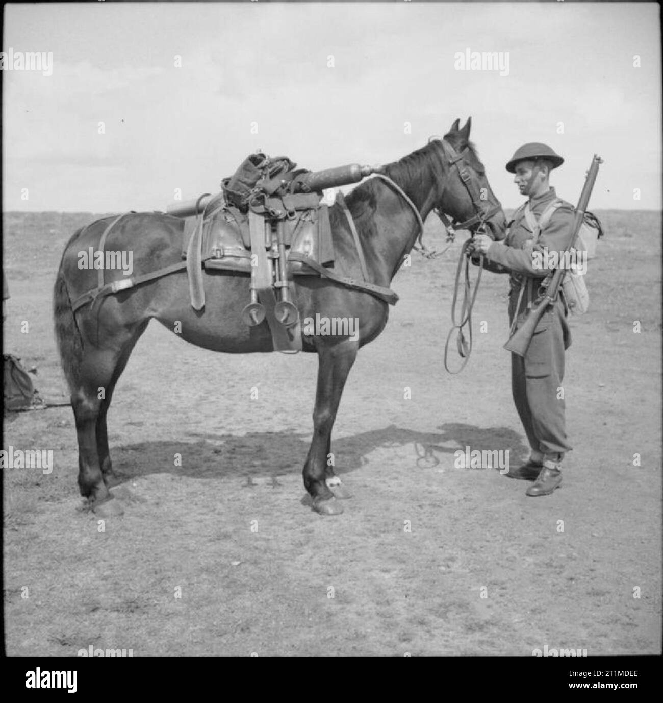 The British Army in the United Kingdom 193945 Pack horse carrying a 3