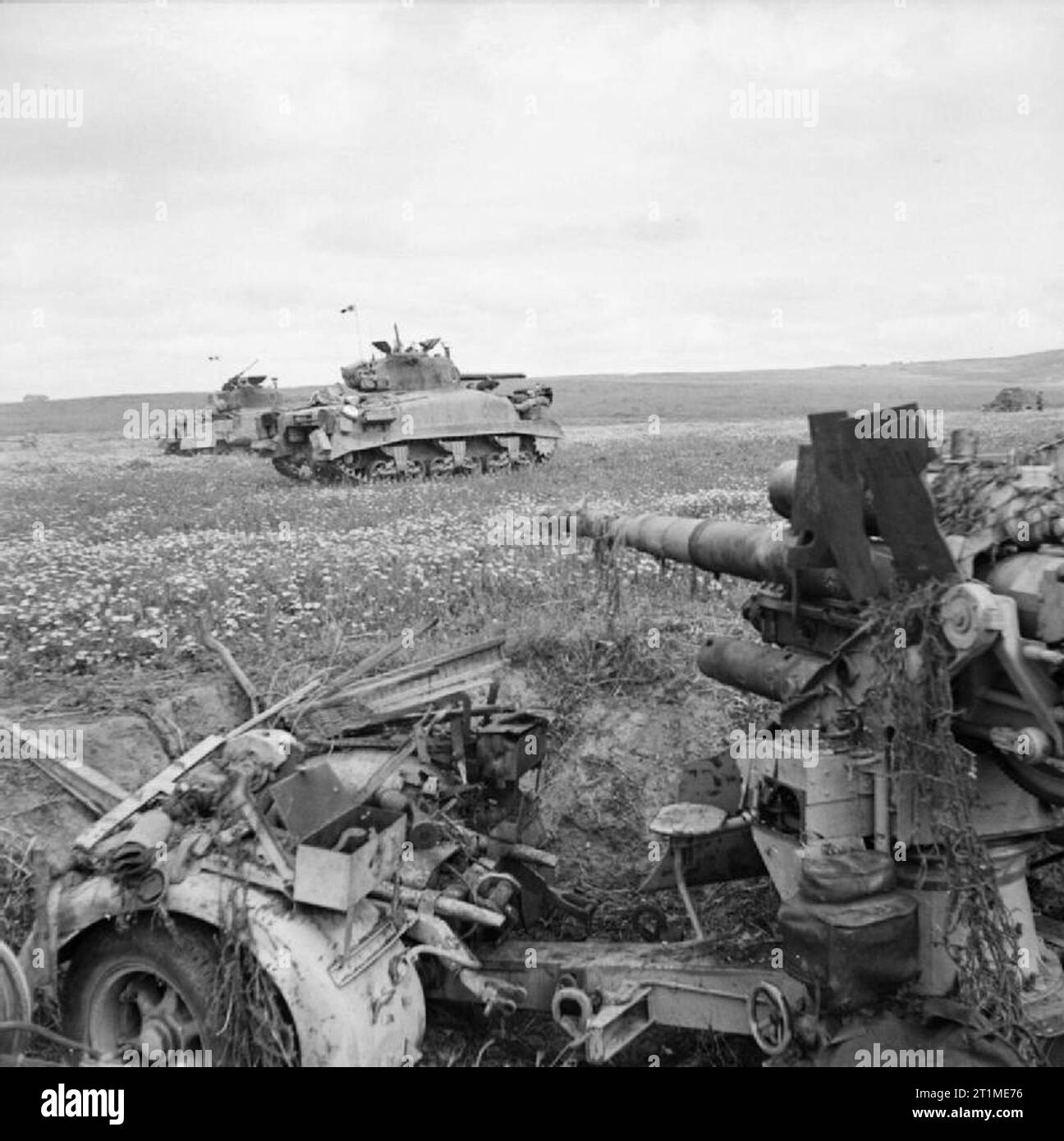 . Deutsch: Die Britische Armee in Tunisien 1943 Ein 'Sherman Panzer' passiert eine zerstörte 'Panzerabwehrkanone' (kurz: PaK) vom Typ '8,8-cm-PaK 36', 23. April 1943. English: The British Army in Tunisia 1943 Sherman tanks advance past a knocked-out anti-tank gun of the type '8.8-cm-PaK 36', 23 April 1943. Stock Photo