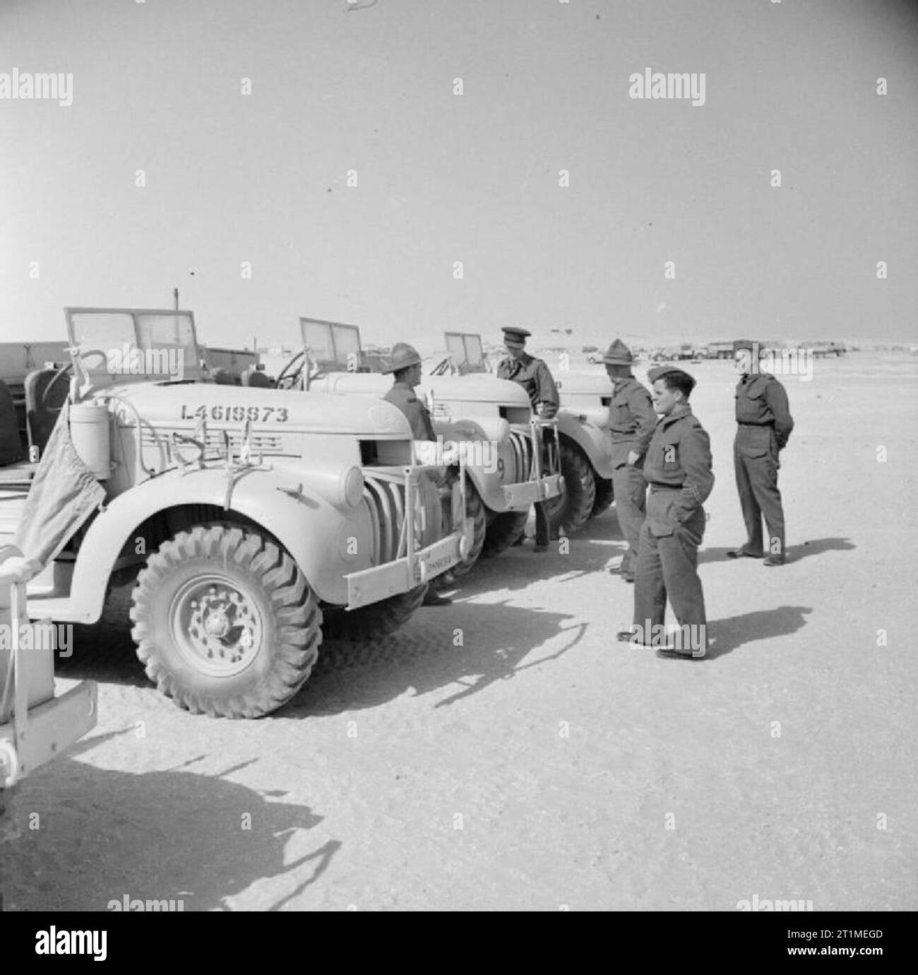The Campaign in North Africa 1940-1943 Members of the Long Range Desert Group (LRDG) inspect newly-issued Chevrolet 30cwt trucks in Cairo, May 1942. Stock Photo