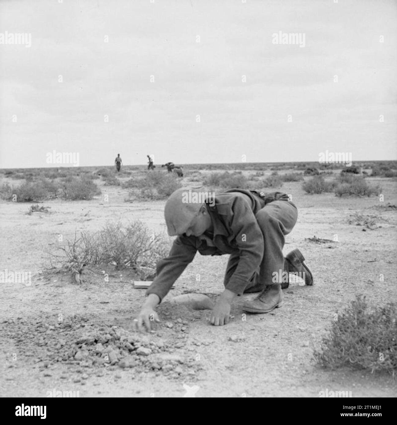 The Campaign in North Africa 1940-1943 A British soldier laying a mine in the sand, 6 April 1942. The mine is placed in a sack and buried with its top level with the ground. 5lb of pressure is required to set it off. Stock Photo