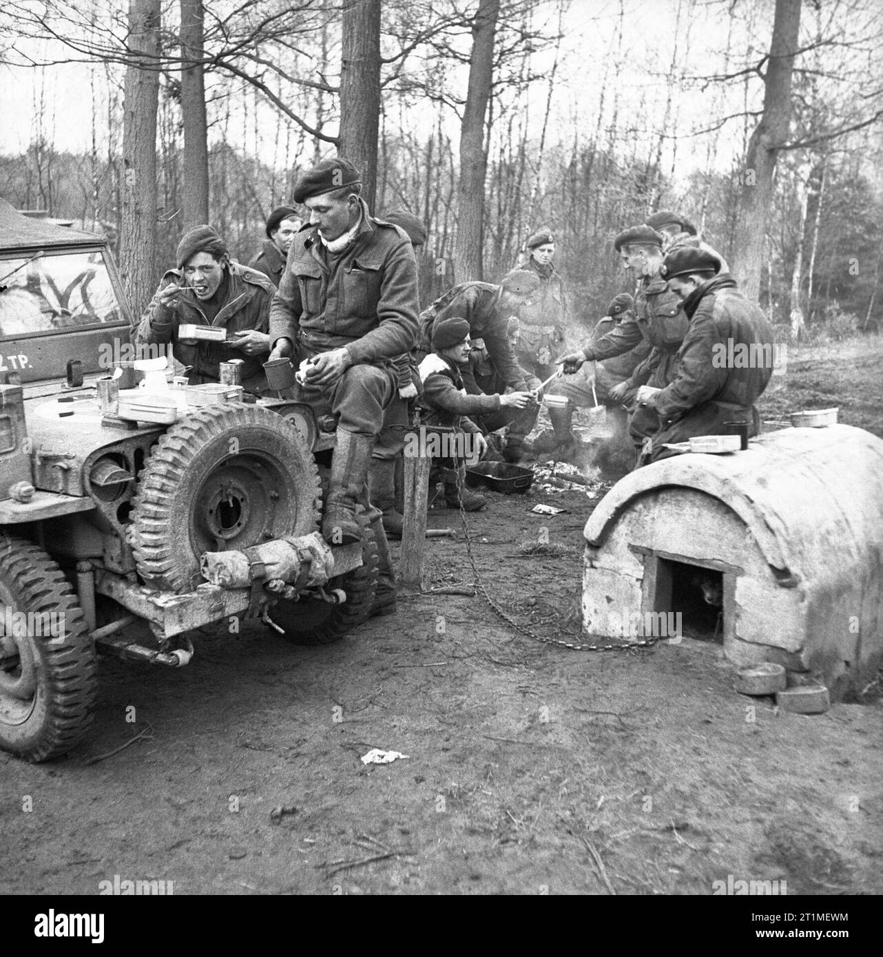 The Campaign in North West Europe 1944-45 Royal Engineers of 6th Airborne Division pause for a hot meal by their jeep near a German farmhouse during the advance through Westphalia. The farm dog (in the nearby kennel) refuses to fraternize. Stock Photo