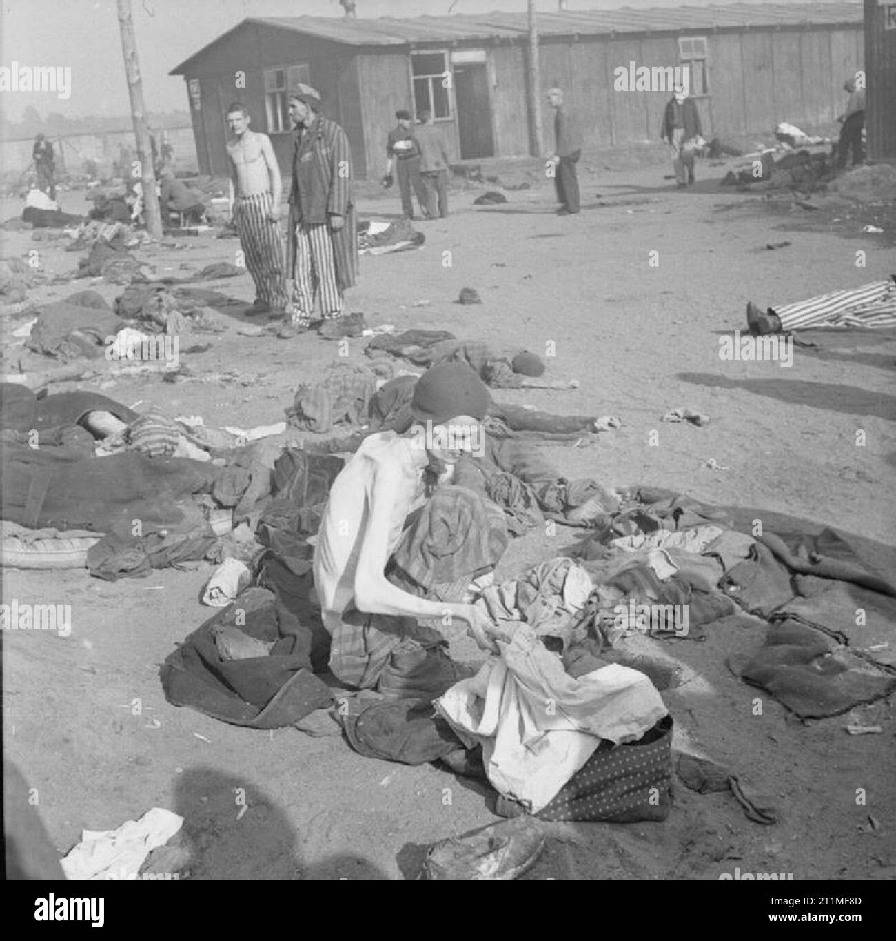 The Liberation of Bergen-belsen Concentration Camp, April 1945 A camp inmate, reduced by starvation to a living skeleton, delouses his clothes. Stock Photo
