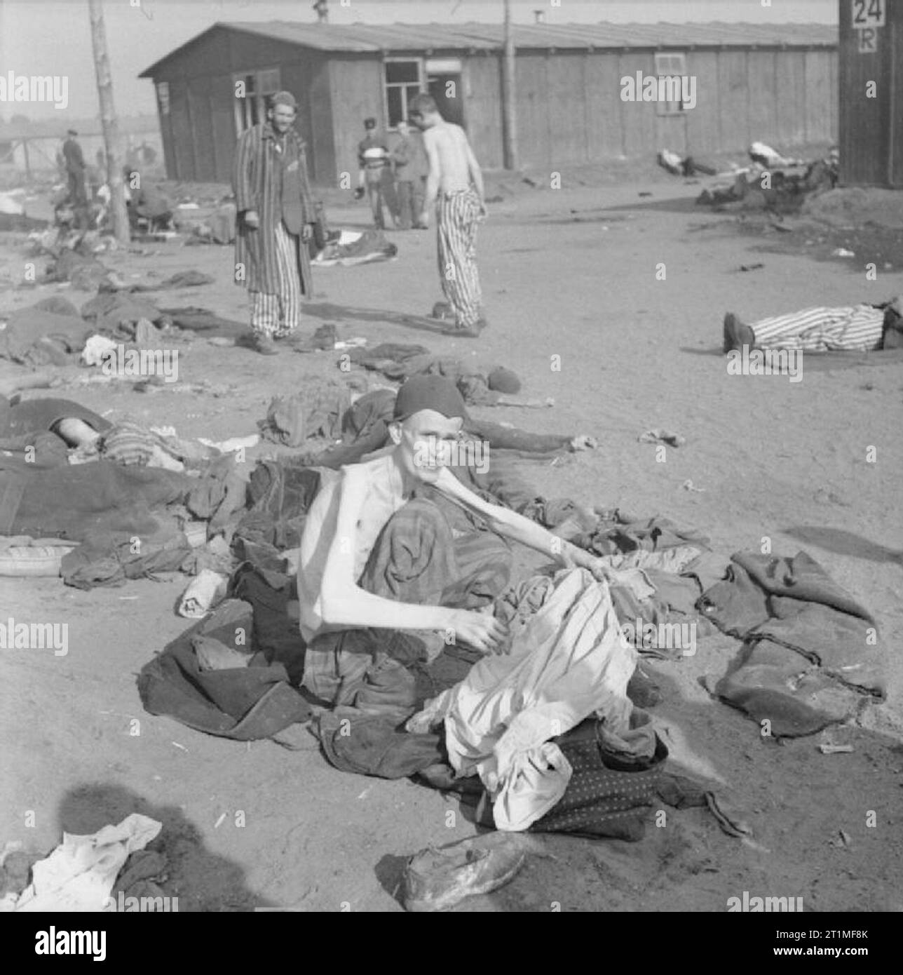 The Liberation of Bergen-belsen Concentration Camp, April 1945 A camp inmate, reduced by starvation to a living skeleton, delouses his clothes. Stock Photo