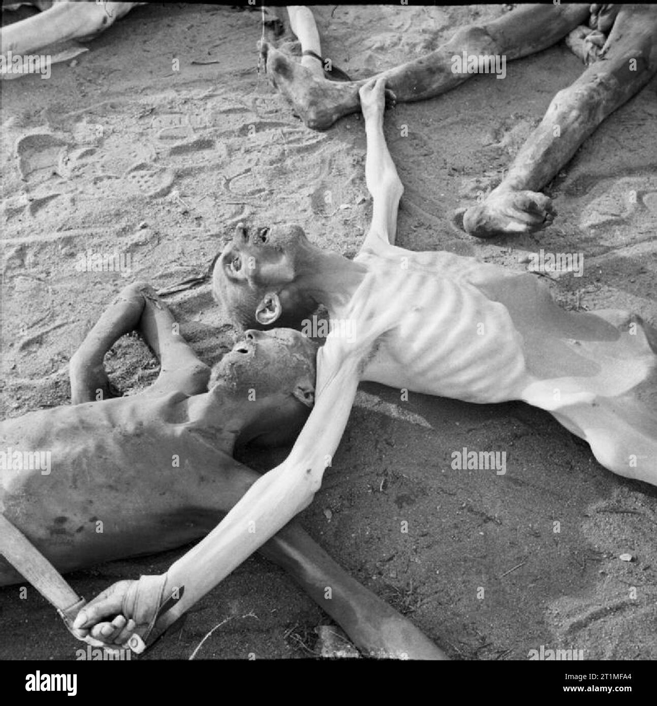 The Liberation of Bergen-belsen Concentration Camp, April 1945 The bodies of victims in Bergen-Belsen concentration camp. Stock Photo